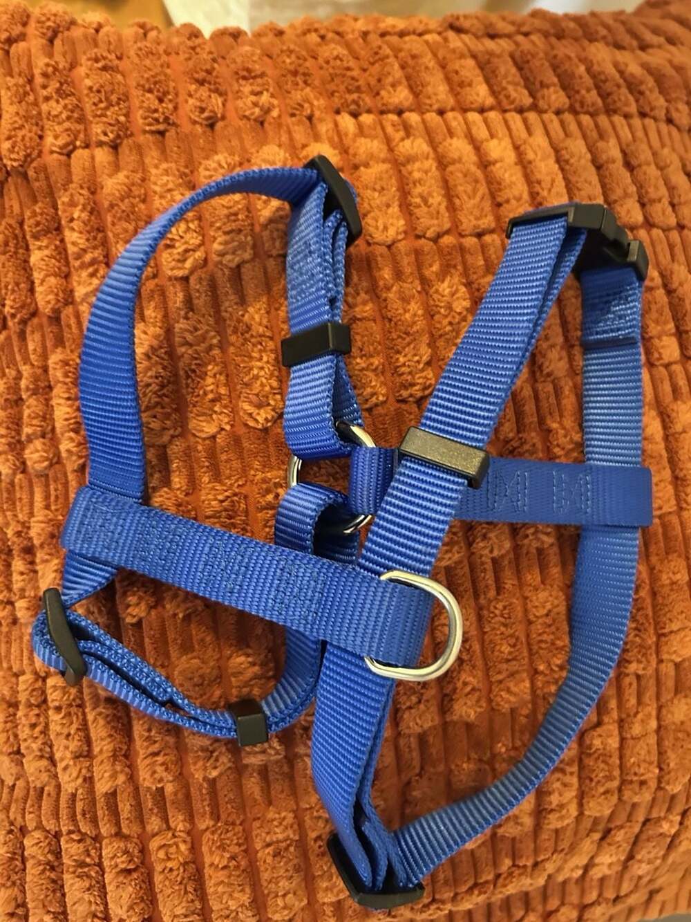 Frisco Step In Back Clip Dog Harness, Blue